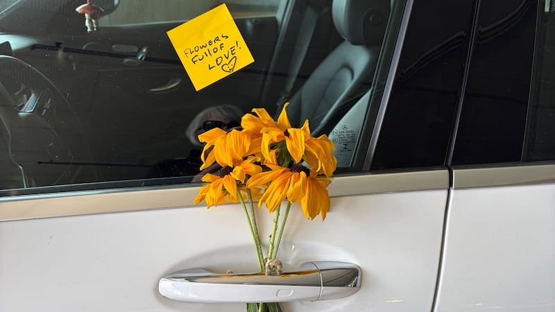 ‘Truly touched’: Flowers left on vehicles parked at Calgary hospital spark joy