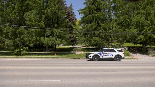 Woman pulled onto lawn and sexually assaulted while out for walk, London police say
