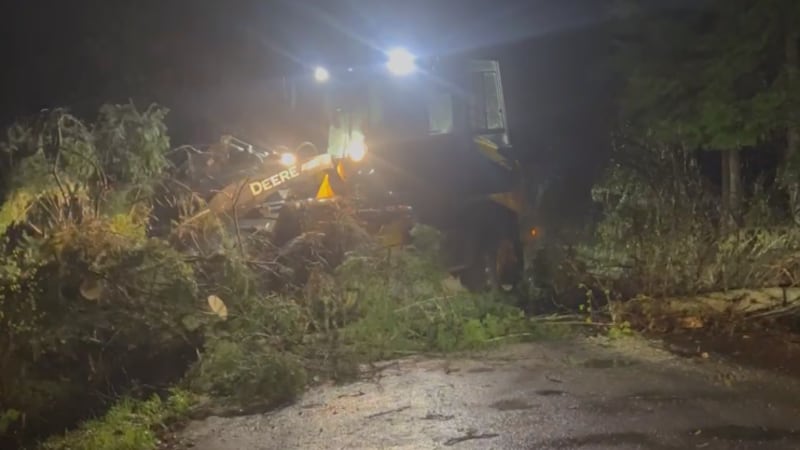 Huntsville hit by downed trees and power outages, residents urged to avoid non-essential travel: OPP