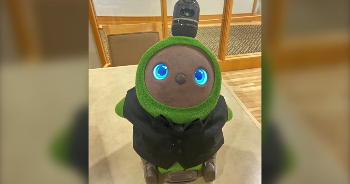 UBC researcher introduces AI powered 'social robots' to West Vancouver ...