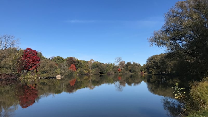 Cool start to the weekend, but sun is here to stay