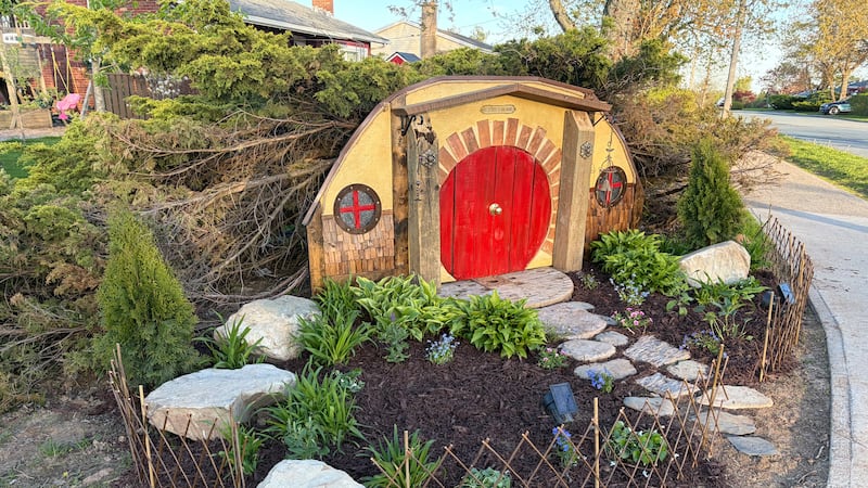Hobbit house: N.S. homeowner turns damaged bush into neighbourhood attraction