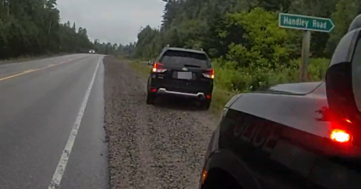 OPP lay impaired charges after stolen vehicle disabled on Highway 11