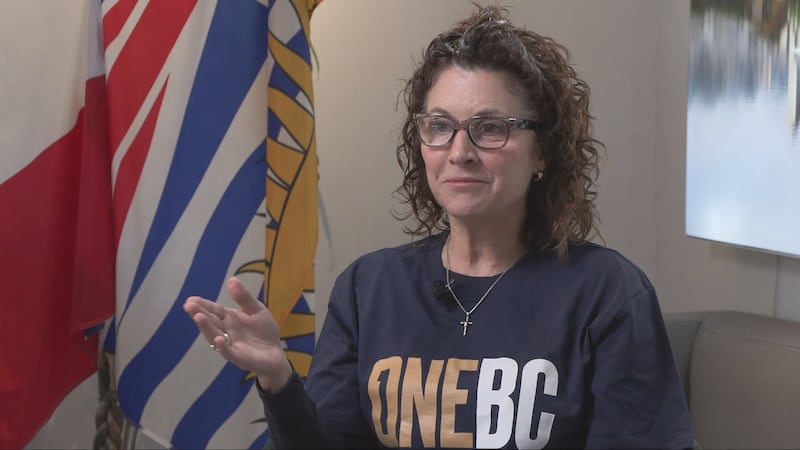 Brodie hopes voters give OneBC balance of power in minority government on election night