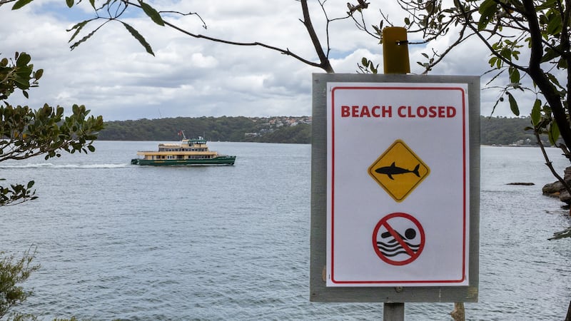 A shark fatally mauls a spearfishing diver off Australia's Rottnest Island, police say