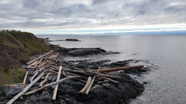 Recreational fishing community in B.C. concerned over potential changes to DFO salmon policy