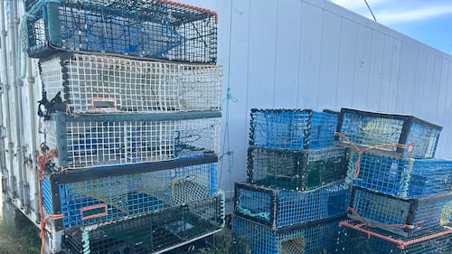 Why fishers asked Ottawa to spare seafood from U.S. tariff war