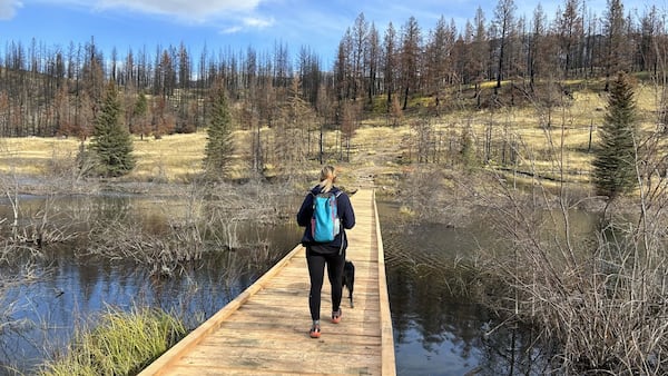 Valley of the Five Lakes trail in Jasper National Park to reopen almost 2 years after fire