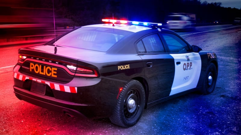 Prohibited driver charged after Highway 17 traffic stop
