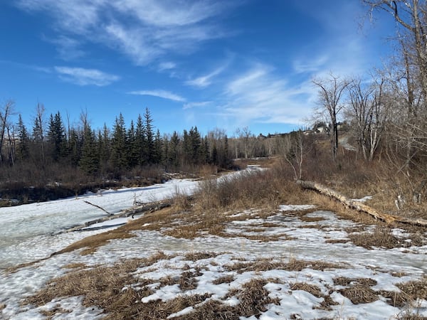 Warming trend coming to Calgary before snowfall