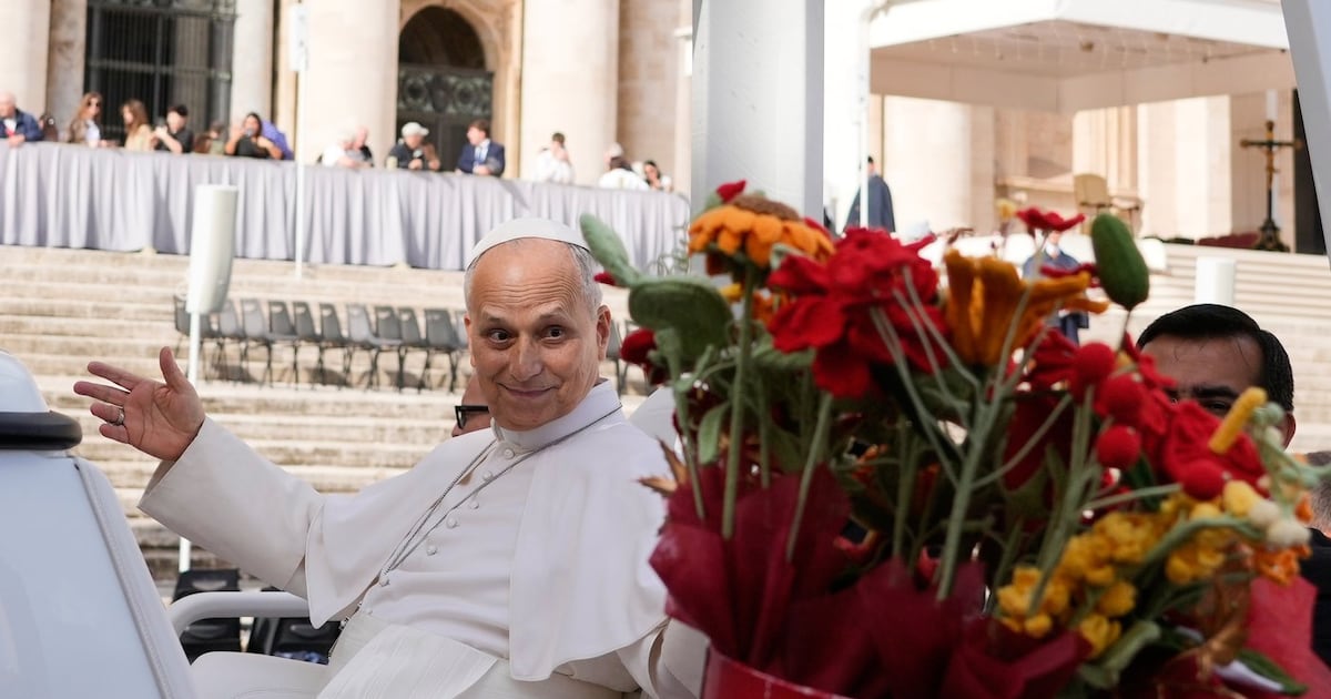 Pope Leo XIV cancels Assisi trip on doctors' advice as he recovers from ...