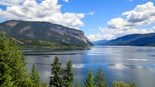 B.C. real estate agent fined $20K for ‘false or misleading advertising’ on road access to rural land