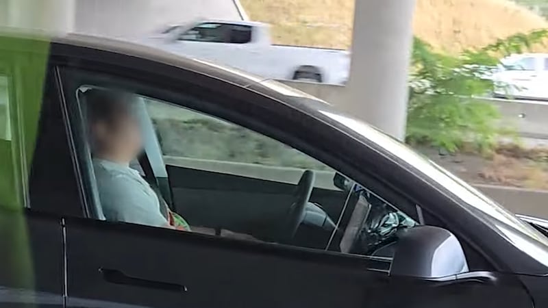 B.C. police warn ‘sleeping while driving is illegal’ after Tesla driver fined