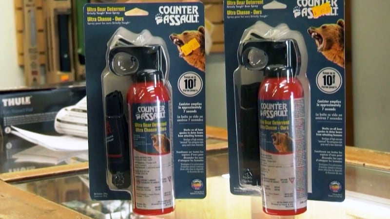 Air support helps Saskatoon police arrest two after bear spray incident
