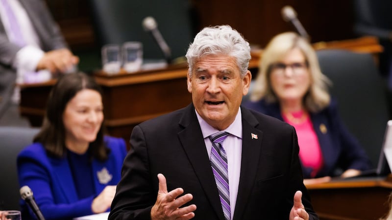 Ontario Liberal interim leader says nomination was fair, despite candidate's comments