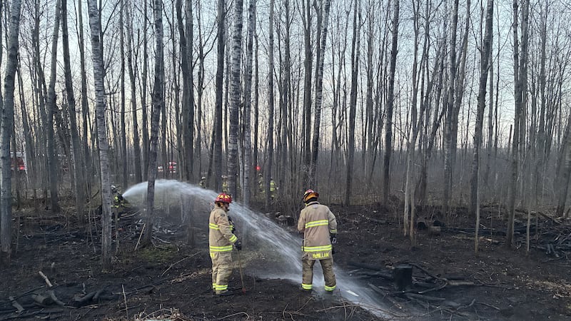 Firefighters respond to 24 brush fires in Ottawa over last 5 days