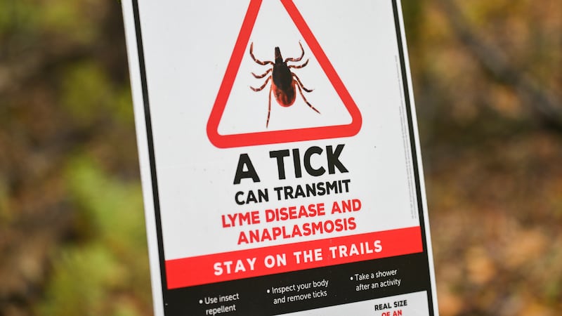 ‘No longer the full picture’: Health unit warns of changing tick risks
