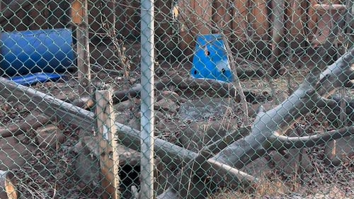 The Edmonton Valley Zoo announced a plan for the next 15 years. Nov. 24, 2025. (Sasha Pietramala/CTV News Edmonton)