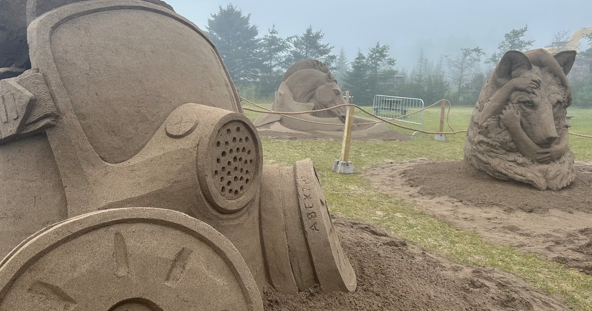 Bay of Fundy Sand Sculpture Festival takes over New River Beach, N.B.