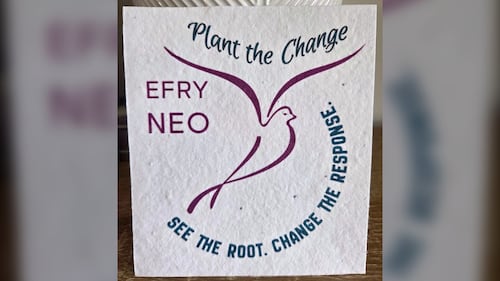 Elizabeth Fry’s ‘See the Root’ campaign targets justice barriers