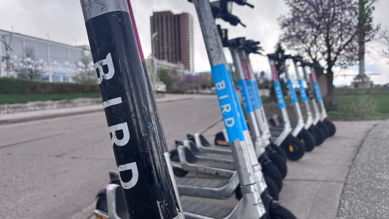 Bird Canada hopeful to keep e-scooters, e-bikes operating in Windsor
