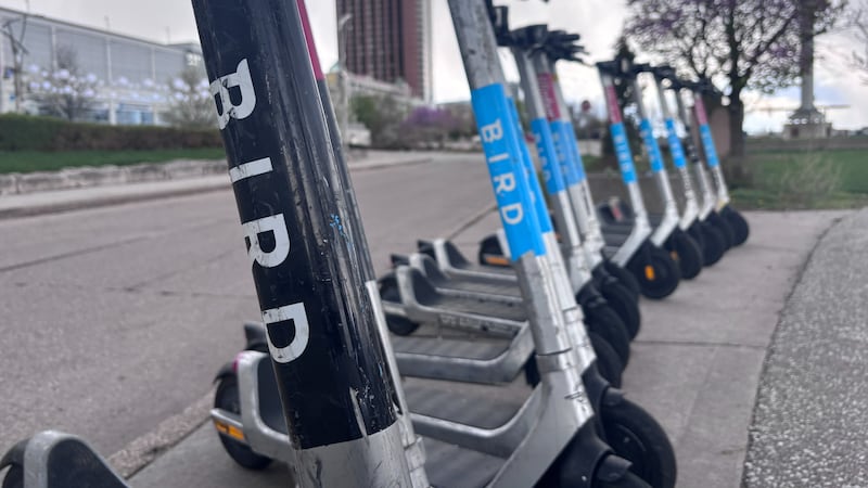 Bird e-scooter fate in Windsor could be decided at next council meeting