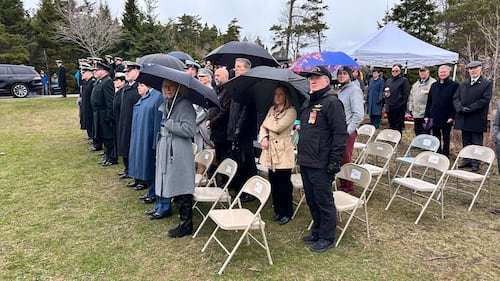 A crowd stands holding umbrellas.