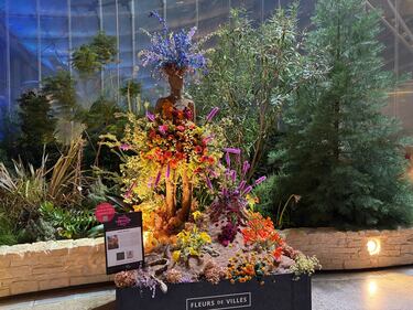 A sculpture in the Fleur de Villes 2026 exhibit is seen at The Leaf at Assiniboine Park in Winnipeg on Jan. 19, 2026. (Ken Gabel/CTV News Winnipeg)