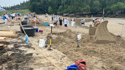 Master sand sculptors work to create their masterpieces before the tide comes in. (CTV/Avery MacRae)