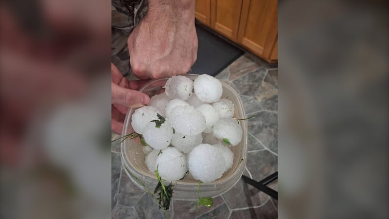 ‘It’s obliterated’: Farmers, residents reel after southwestern Manitoba storm