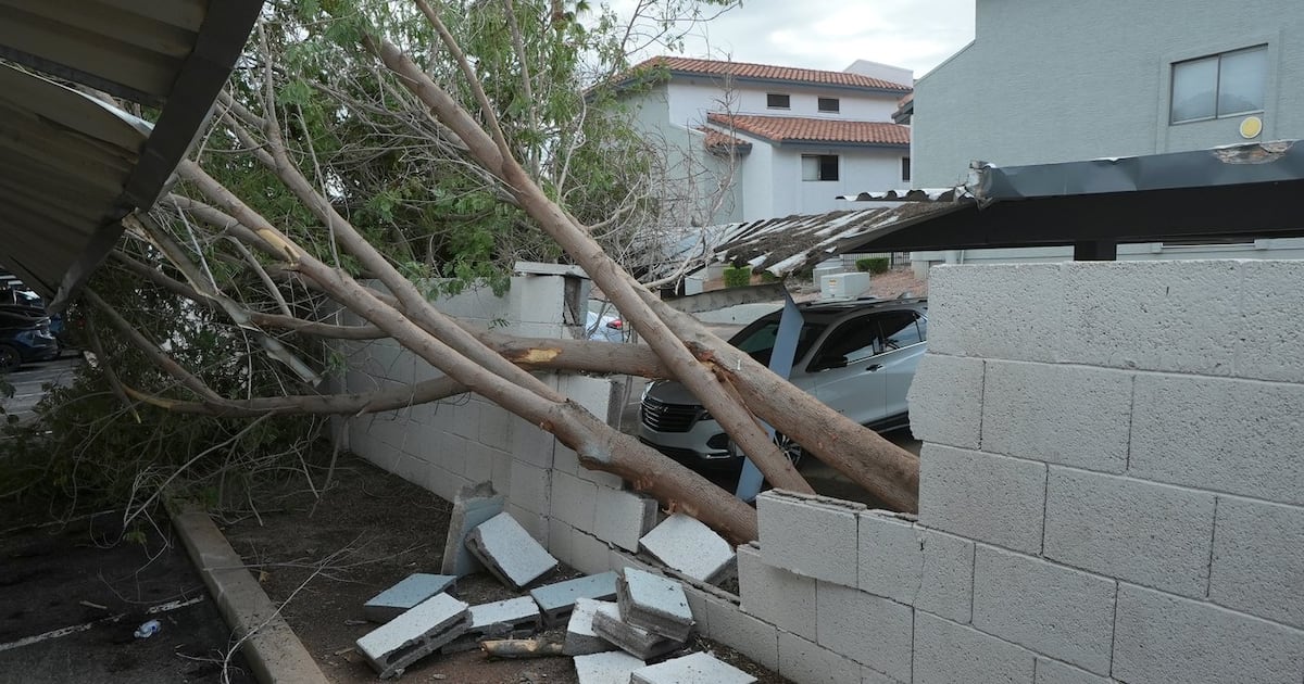 Heftige Stürme in Arizona bringen möglichen Tornado, umgestürzte Bäume und ...