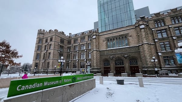 Canada Strong Pass returns, drawing families to National Museums for the holiday season
