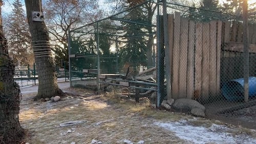 The Edmonton Valley Zoo announced a plan for the next 15 years. Nov. 24, 2025. (Sasha Pietramala/CTV News Edmonton)