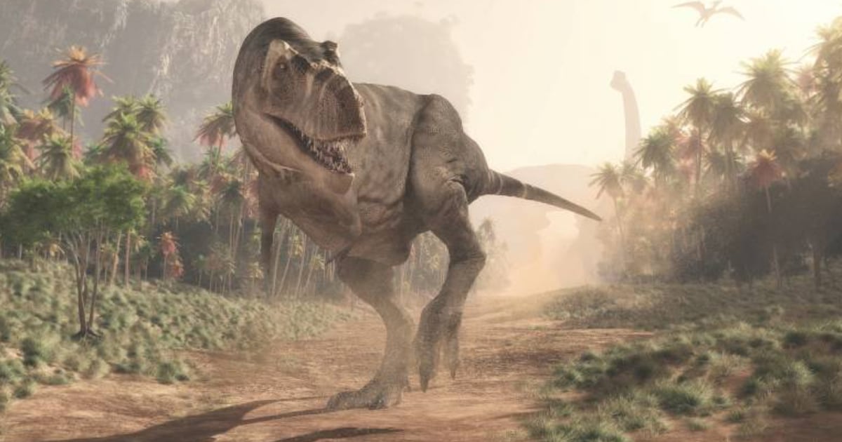 New study uncovers theory on why the T. rex had tiny arms - CTV News