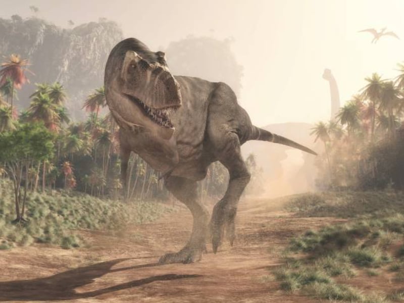 New study uncovers theory on why the T. rex had tiny arms