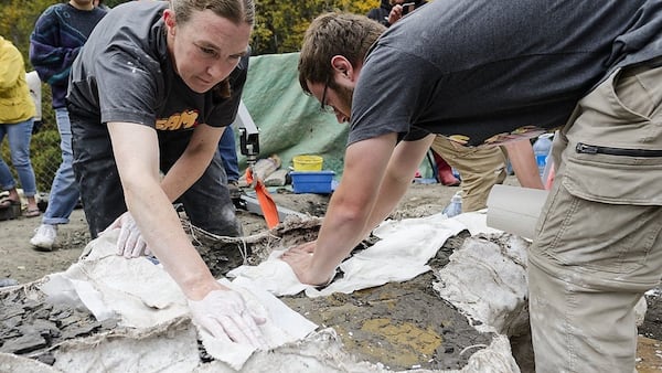 Grande Prairie area dinosaur featured in upcoming Walking with Dinosaurs television series