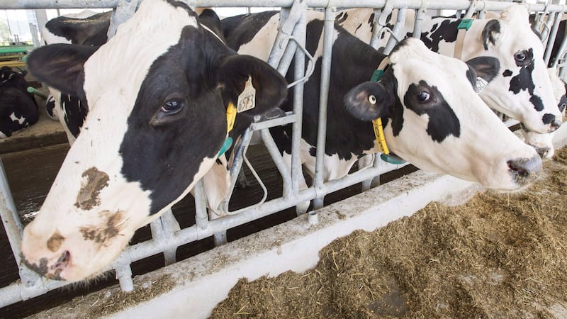 Agriculture minister reappoints Canadian Dairy Commission CEO Benoit Basillais