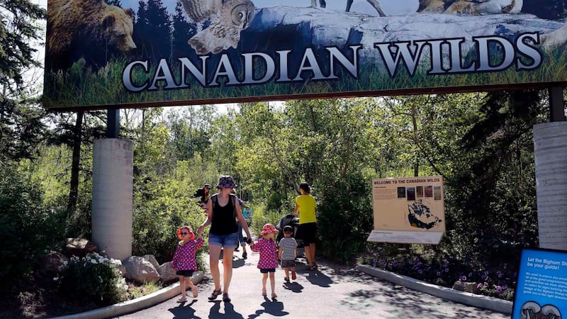 Zoo scam: Calgary facility says phony tickets being sold online