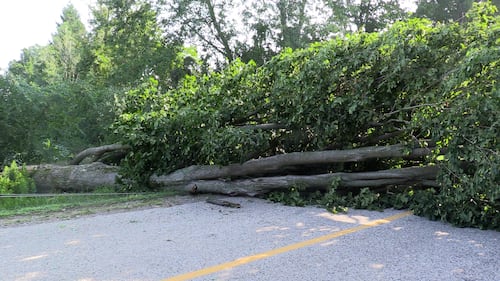 Elgin County storm damage