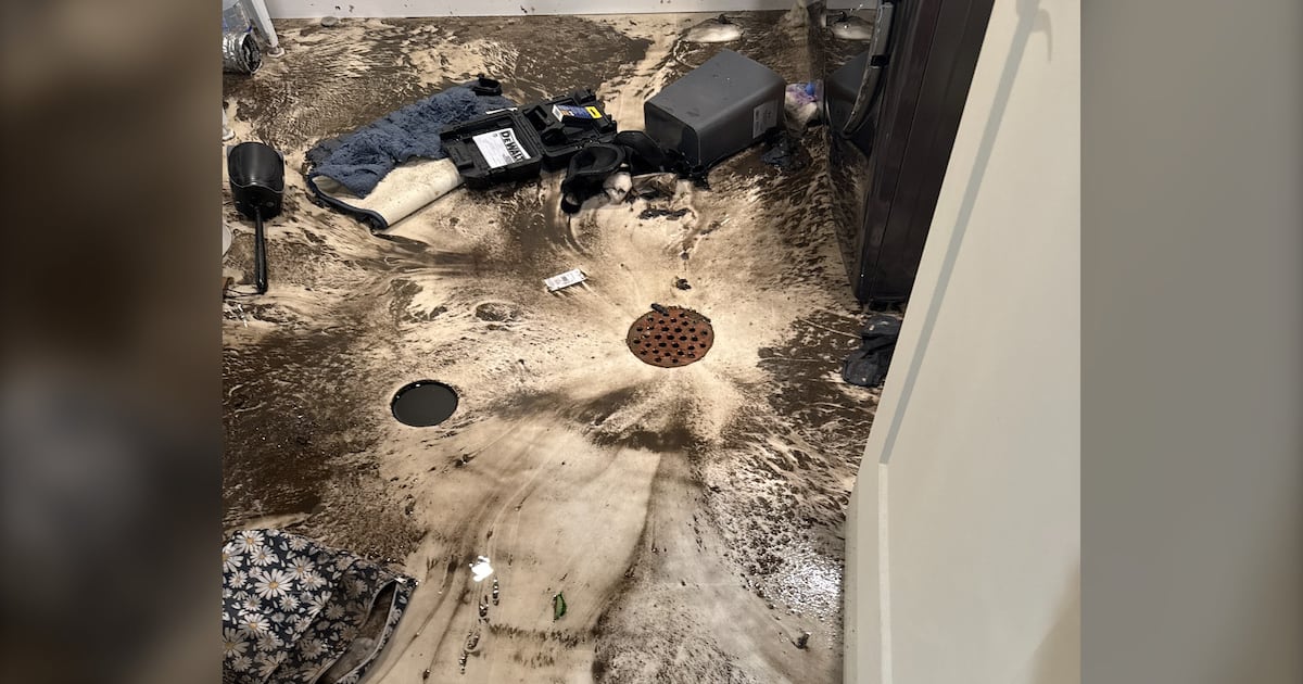 Winnipeg homes still drying off after torrential rainstorm
