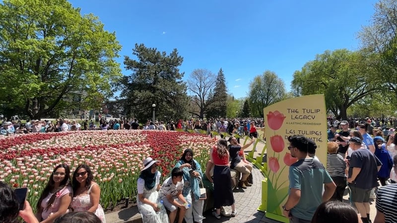 Canadian Tulip Festival wrapping up its 74th season