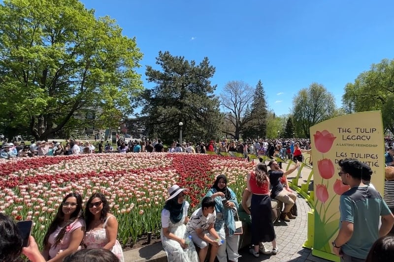 Canadian Tulip Festival wrapping up its 74th season