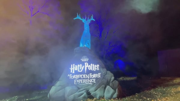Backlash grows ahead of Harry Potter event in Vancouver