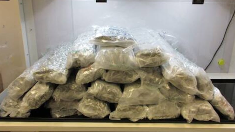 Canadian attempted to smuggle 31 kg of cannabis in luggage to London Heathrow: RCMP