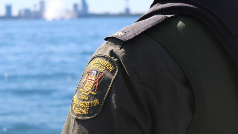 Fishermen fined, one banned for life after walleye poaching
