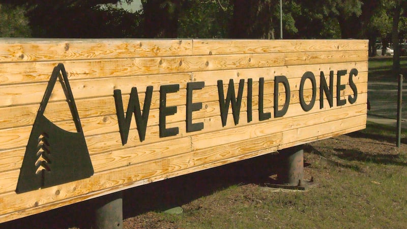 Calgary families left scrambling after sudden closure of Wee Wild Ones daycare