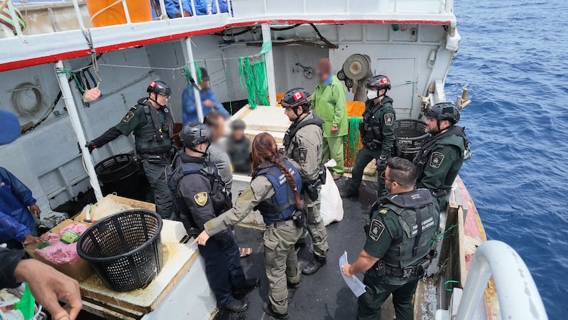 Shark finning, dolphin harpooning reported after Canadian crackdown on high seas