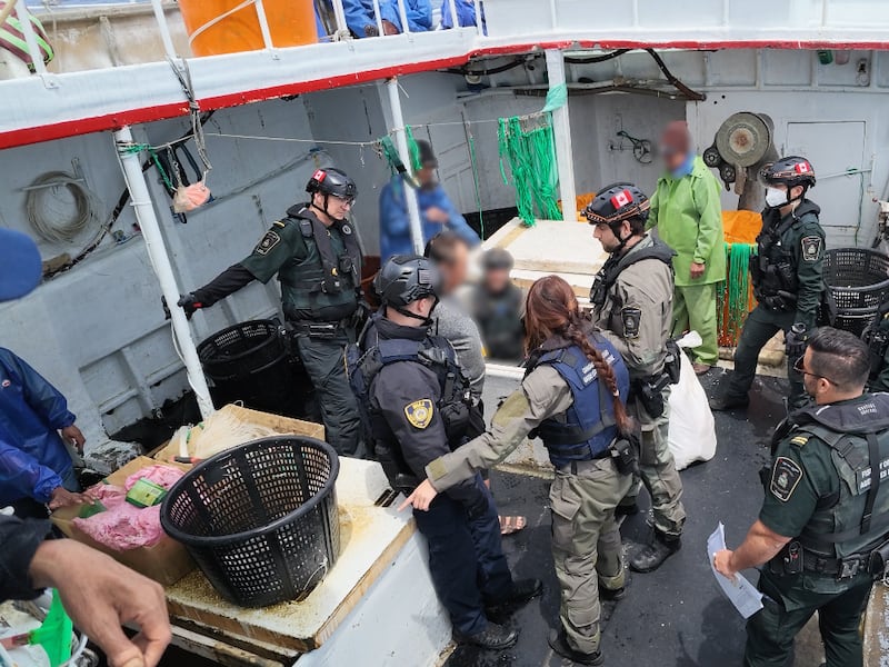 Shark finning, dolphin harpooning, poor labour conditions reported after Canadian patrol of Pacific Ocean
