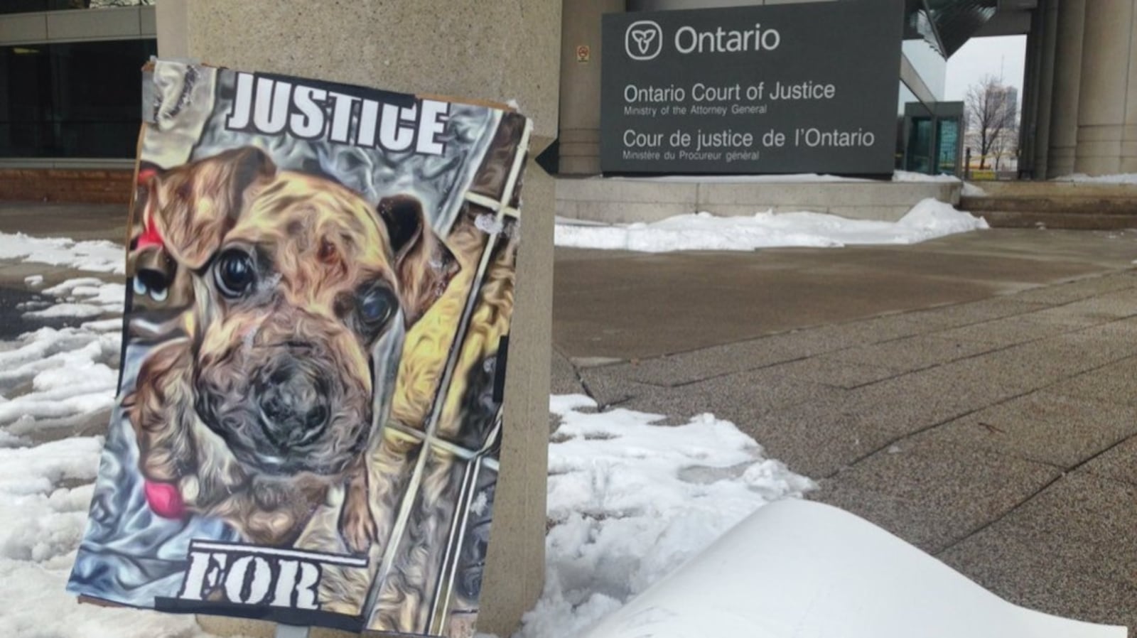 Accusing Dogs Bail decision expected Monday for accused dog abuser