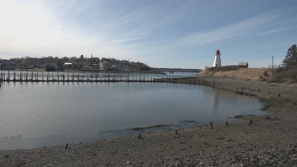 Campobello Island, N.B., ferry service starts early amid ongoing trade war